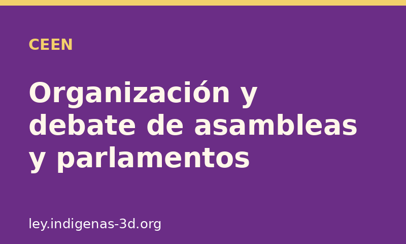 Organización y debate de asambleas, consejos y parlamentos