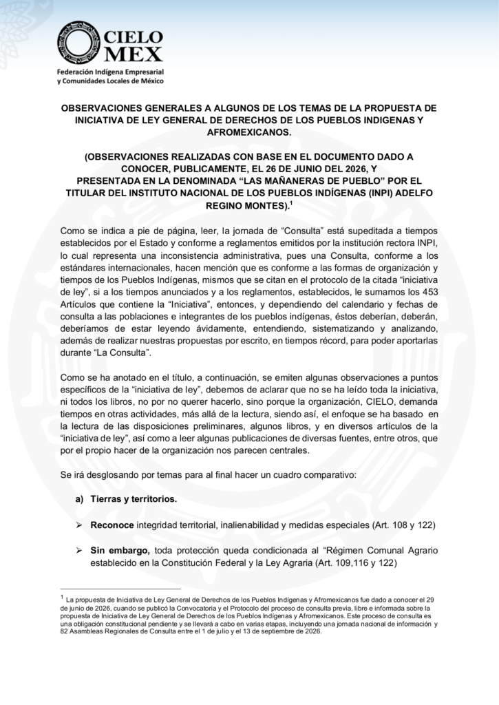 Portada del documento de observaciones de CIELO