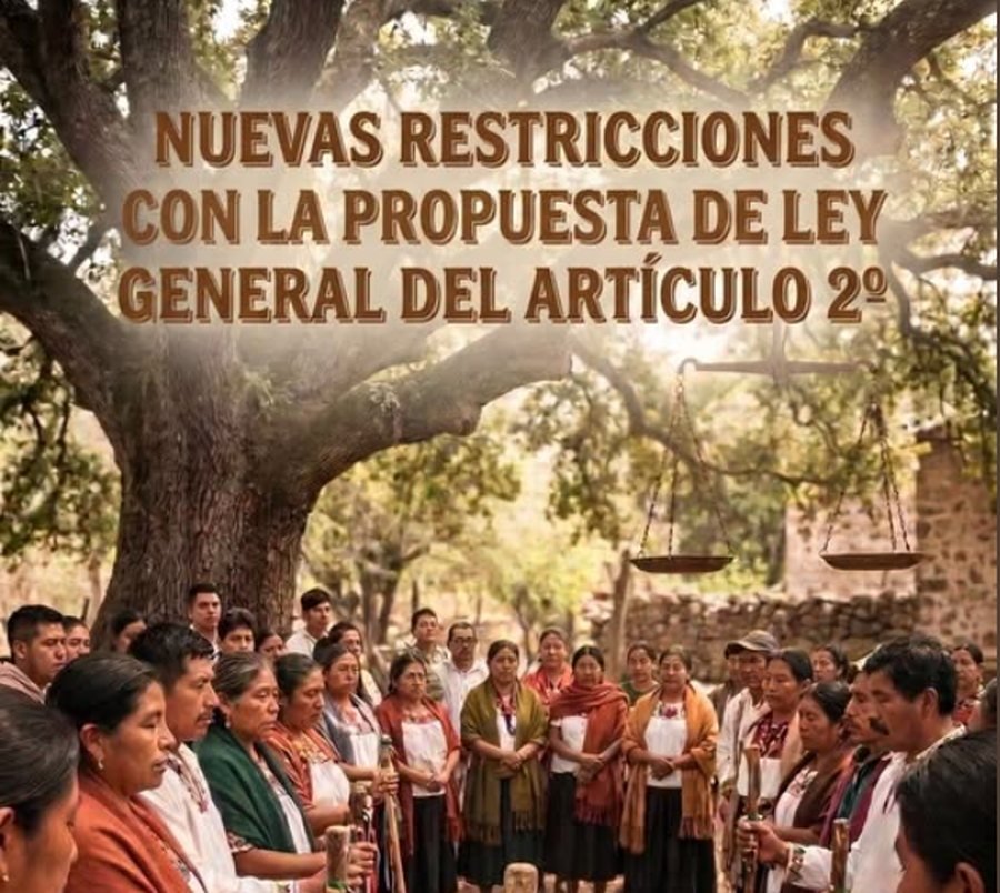 Nuevas restricciones con la propuesta de Ley General del artículo 2º