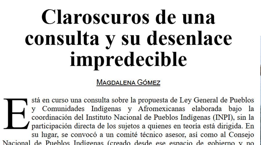 Claroscuros de una consulta y su desenlace impredecible, columna de Magdalena Gómez en La Jornada