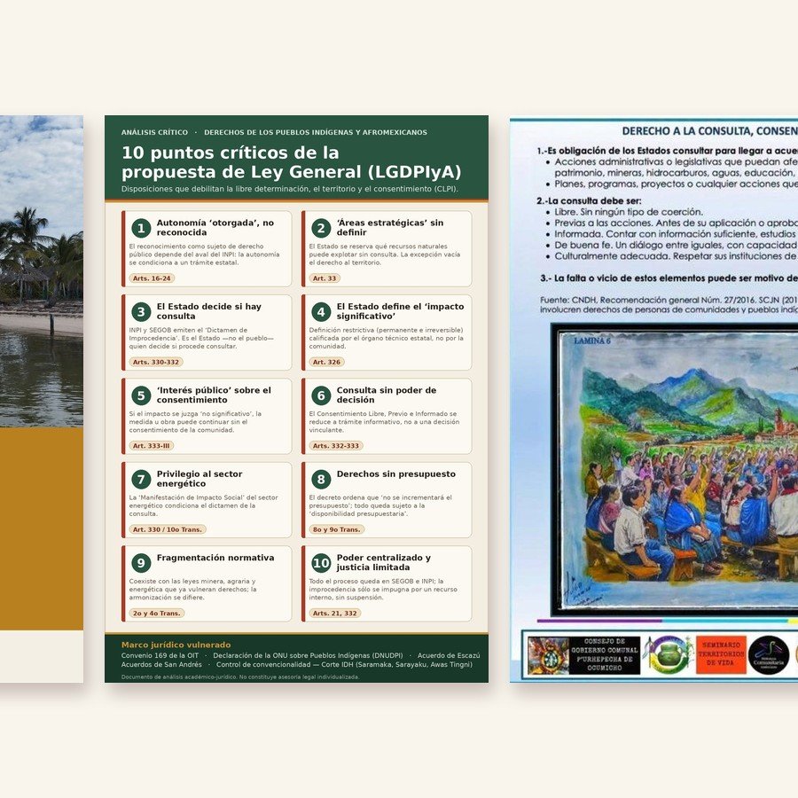 Portadas de un cuadernillo, el folleto de 10 puntos críticos y una lámina sobre el derecho a la consulta